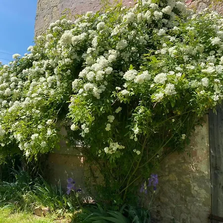 Podere Relais Fabilandia Country house