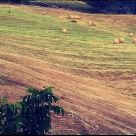 Podere Relais Fabilandia Tole
